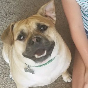 Meet your Posher, Ang